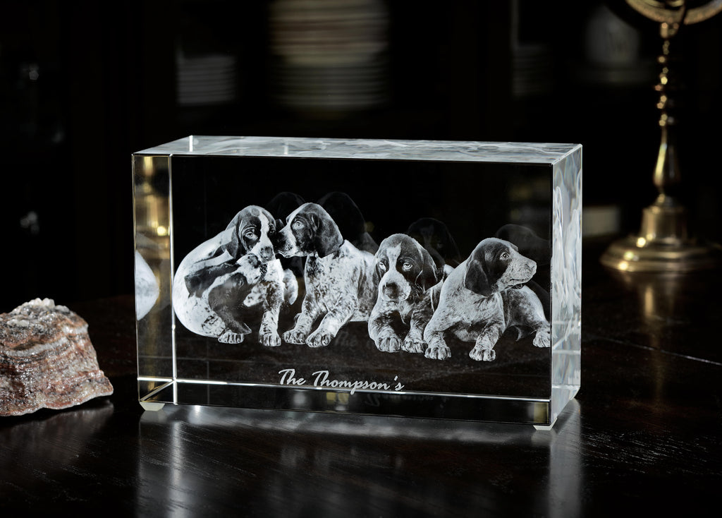 Unconventional Ways to Memorialize Your Pet With Pet Crystal Bricks