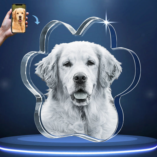 2D Pet Paw Crystal