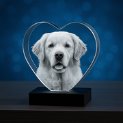 CRYSTAL HEART