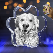 2D Pet Paw Crystal