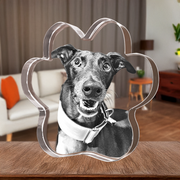 2D Pet Paw Crystal